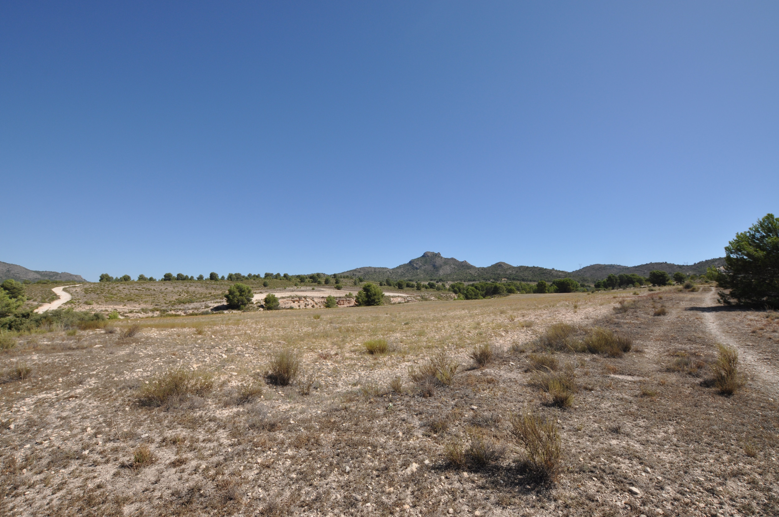Land in Salinas - Image 2
