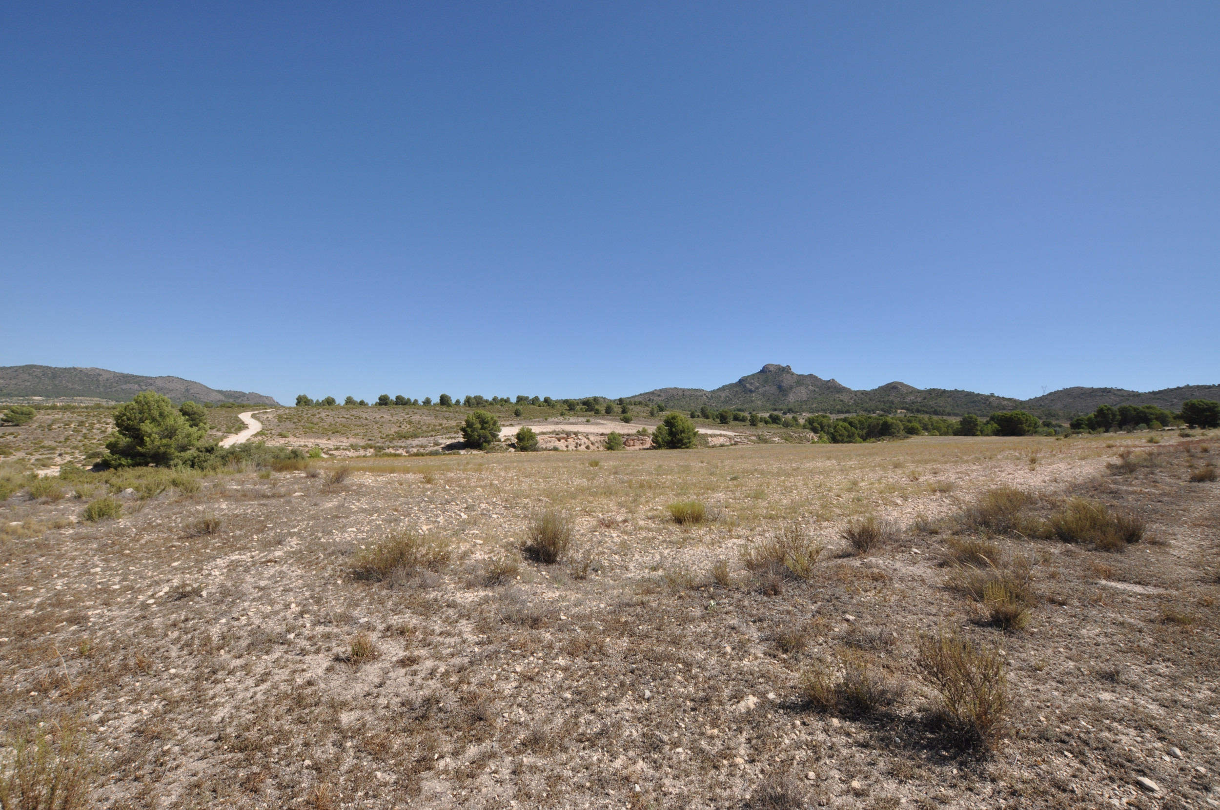 Land in Salinas - view 1
