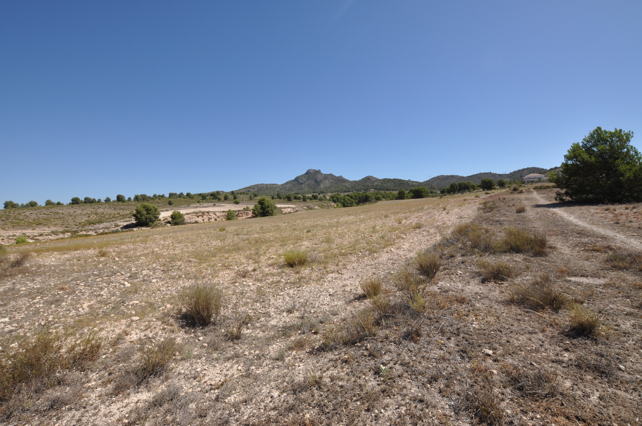 Land in Salinas - Image 3